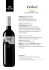 Nero d`Avola - Squarespace