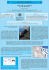 Poster Altre Ricerche SNS 3a - Tyndaris, agora