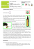 olio di semi di canapa sativa