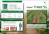 Tabacco - AgricolturaOnWeb