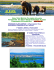 Scarica la brochure - Le Reve House Adventure