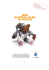Guida all`acquisto ed all`uso del giocattolo