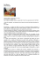corpo 12.pages