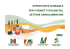 Opportunità in Brasile per i prodotti italiani del