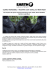 Scarica versione PDF