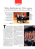`Miss Bellissima`, 50 in gara
