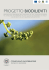 progetto biodilieviti