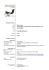 scarica il curriculum in pdf