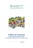 Profilo di Comunità. Comuni Territorio Cesenate (2a parte: Offerta