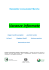 news letter turismo