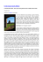 pdf articolo in pdf