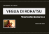 Disponibile anche in PDF