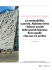 La sostenibilità a parole