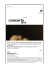 Melampus (IT) - Visitrovereto
