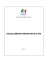 Regolamento impiantistico FIH