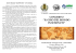 Programma di sala 23 Ottobre 2016 Teatro