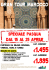Scarica il Pdf