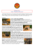 Botswana fotografico