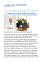Fare click qui per leggere l`articolo in PDF