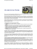 www.leancompany.it Alle origini del Lean Thinking