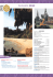 thailandia krabi - Collage Turismo