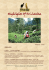 Highlights Of Sri Lanka
