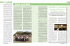 Maremma Magazine - AAA Morellino