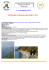 2014 - Gruppo Prosac