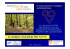 Nordic Walking