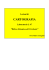 Corso CARTOGRAFIA