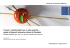 Migliorare l`accuratezza – grazie al Research azionario svizzero di