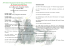 PROGRAMMA DELLA MANIFESTAZIONE
