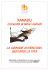xanadu - Comune di Castelfranco Emilia