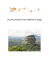 Itinerario 2 settimane Sri Lanka