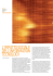 l`impatto sociale dell`information tecnology