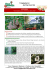 Scheda Viaggio - Four Seasons Natura e Cultura
