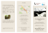 scarica la brochure - Accademia Musicale Clivis