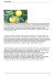 Citrus Paradisi - Farma Valens Srl
