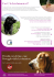 Scarica la brochure informativa