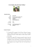 Curriculum vitae di Cinzia Vallone