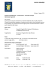 Scarica documento - Sezione SCOUT Bellinzona