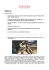 Visualizza la Newsletter