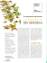 Articolo Completo (Formato PDF)