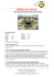 - Agenzia Rallo