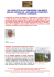 PDF articolo formato stampa