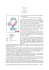 ##common.downloadPdf