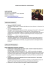 CURRICULUM FORMATIVO e PROFESSIONALE ILARIA