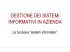Organizzazione della funzione "sistemi informativi"