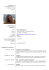 Curriculum vitae Federica Galli con foto