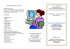 corso laboratorio- informatico